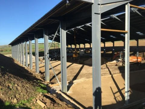Progress with a new dairy cow building