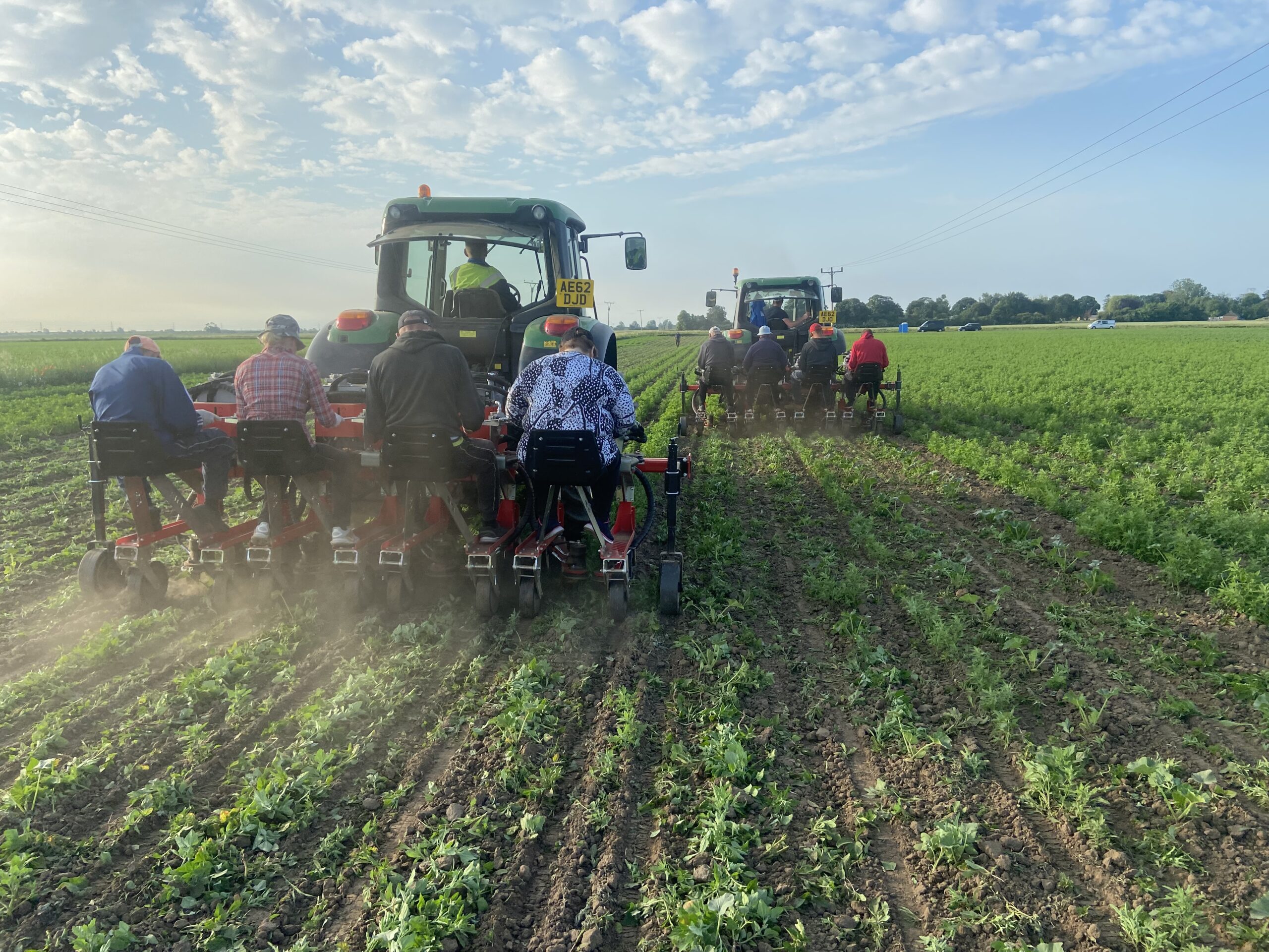 Pumpkinator comes of age