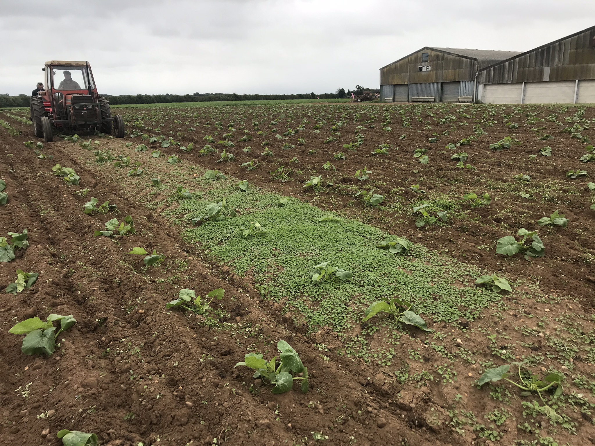 #FarmingCAN Deliver Rewarding Careers