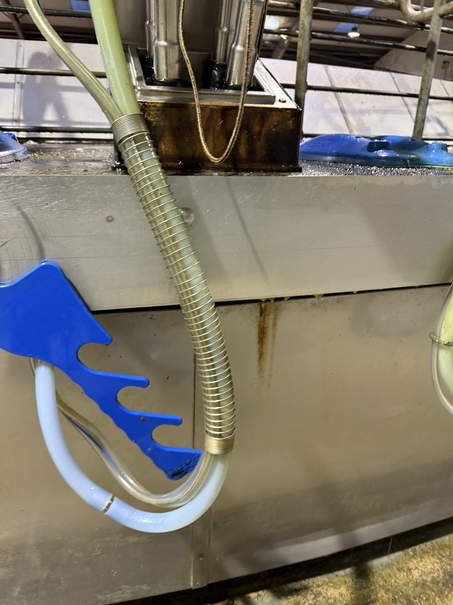 Milking Cluster Pipe Management Spring